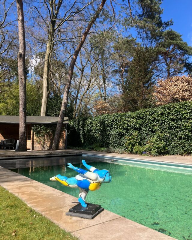 Altijd in april trekken wij een maandje uit om alle zwembaden weer #zomerklaar te maken.
Het weer is echt perfect, maar het water is bij het opstarten nogal koud. Wel spotte ik al een duif die zijn eerste duik in het frisse water 💦 ging maken 😎

#zwembadbouwer
#zwembadbouw
#zwembadbouwen
#zwembad
#zwembaden
#plungepool
#plungepools